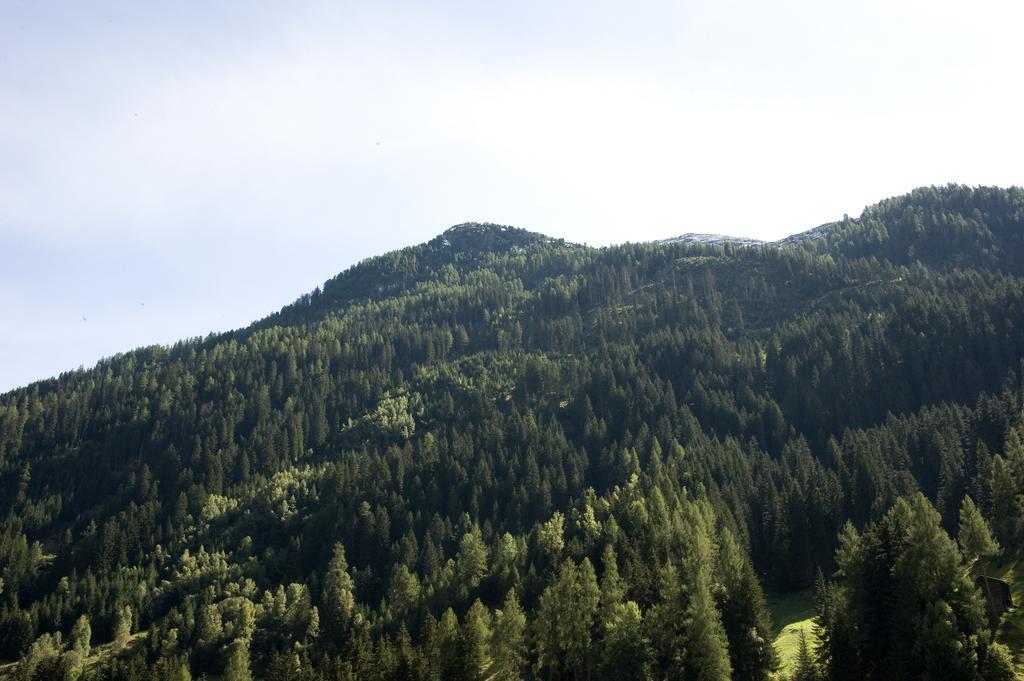 Haus Deiser Kappl  Rum bild