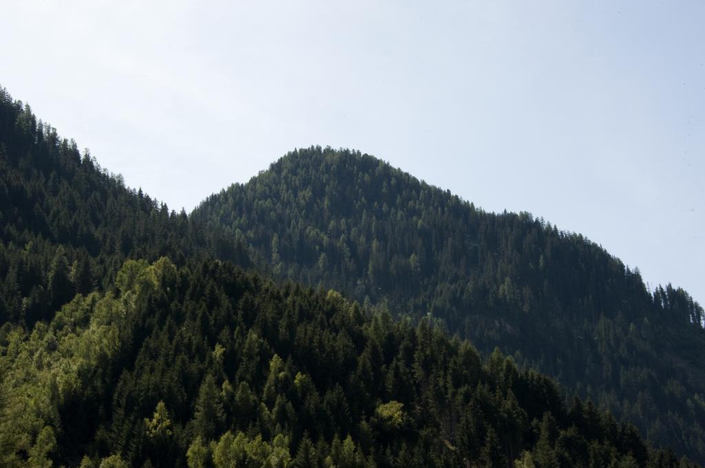 Haus Deiser Kappl  Rum bild